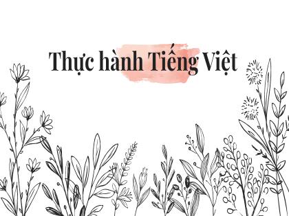 Bài giảng Ngữ văn 6 (Chân trời sáng tạo) - Bài 3: Vẻ đẹp quê hương - Thực hành Tiếng Việt