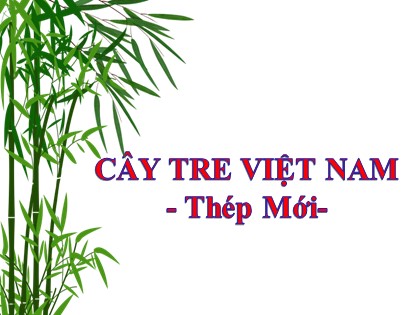 Bài giảng Ngữ văn 6 (Sách Kết nối tri thức) - Bài 4: Quê hương yêu dấu - Văn bản 3: Cây tre Việt Nam