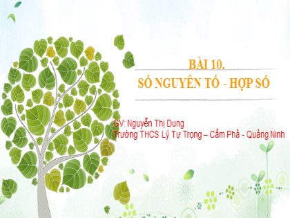 Bài giảng Toán Lớp 6 (Sách Cánh diều) - Đại số - Chương 1, Bài 10: Số nguyên tố. Hợp số - Nguyễn Thị Dung