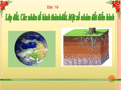 Bài giảng Địa lí Lớp 6 Sách Chân trời sáng tạo - Bài 19: Lớp đất. Các nhân tố hình thành đất. Một số nhóm đất điển hình