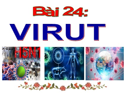 Bài giảng Khoa học tự nhiên 6 (Chân trời sáng tạo) - Bài 24: Virut