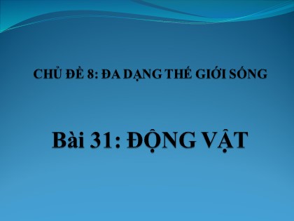 Bài giảng Khoa học tự nhiên 6 (Chân trời sáng tạo) - Chủ đề 8 - Bài 31: Động vật