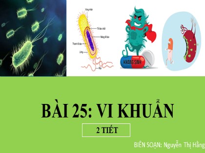 Bài giảng Khoa học tự nhiên 6 (Chân trời sáng tạo) - Chủ đề 8 - Bài 25: Vi khuẩn - Nguyễn Thị Hằng