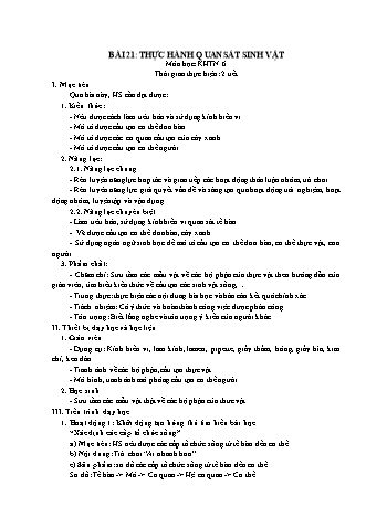 Giáo án Khoa học tự nhiên Lớp 6 Sách Chân trời sáng tạo - Chủ đề 7 - Bài 21: Thực hành quan sát sinh vật