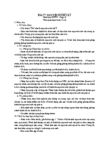 Giáo án Khoa học tự nhiên Lớp 6 Sách Chân trời sáng tạo - Chủ đề 8 - Bài 27: Nguyên sinh vật