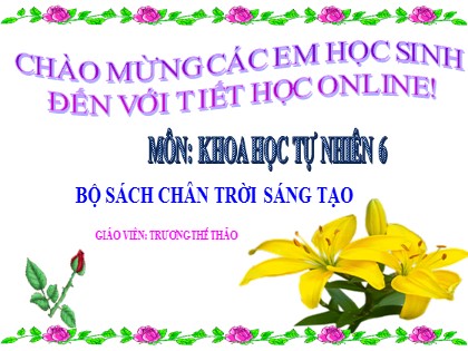 Giáo án Khoa học tự nhiên Lớp 6 - Bài 29: Thực vật - Trương Thế Thảo