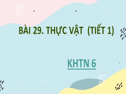 Giáo án Khoa học tự nhiên Lớp 6 - Tiết 1, Bài 29:Thực vật