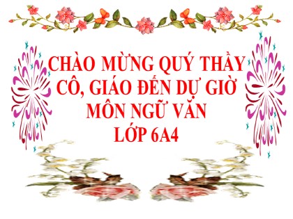 Giáo án Ngữ Văn Lớp 6 - Tiết 106: Thực hành Tiếng Việt