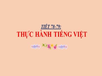 Giáo án Ngữ Văn Lớp 6 - Tiết 78+79: Thực hành Tiếng Việt