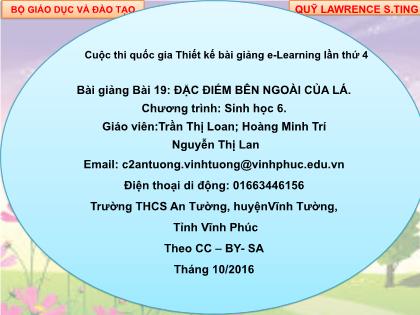 Bài giảng Sinh học Lớp 6 - Bài 19: Đặc điểm bên ngoài của lá - Trần Thị Loan