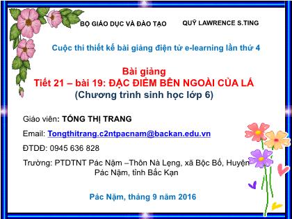Bài giảng Sinh học Lớp 6 - Tiết 21, Bài 19: Đặc điểm bên ngoài của lá - Tống Thị Trang