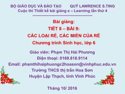 Bài giảng Sinh học Lớp 6 - Tiết 8, Bài 9: Các loại rễ, các miền của rễ - Phạm Thị Hải Phương