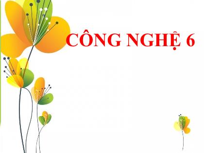 Bài giảng Công nghệ 6 (Kết nối tri thức) - Bài 12: Nồi cơm điện