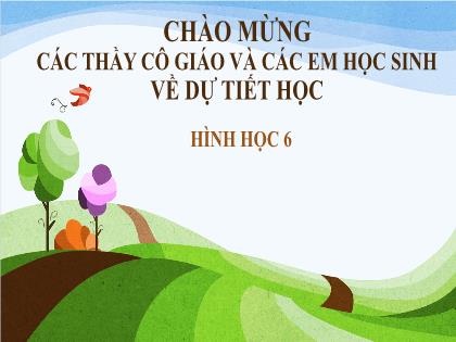 Bài giảng Hình học 6 (Kết nối tri thức) - Luyện tập chung (trang 65)
