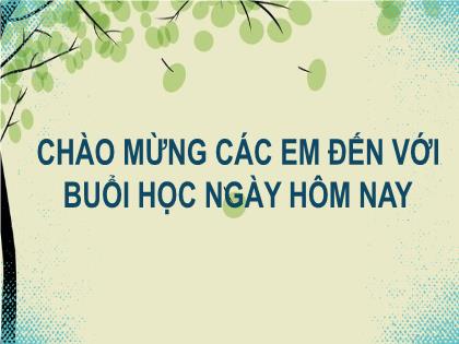 Bài giảng Khoa học tự nhiên 6 (Chân trời sáng tạo) - Bài 15: Chất tinh khiết, hỗn hợp