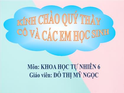 Bài giảng Khoa học tự nhiên 6 (Chân trời sáng tạo) - Bài 8: Sự đa dạng và các thể cơ bản của chất. tính chất của chất - Đỗ Thị Mỹ Ngọc