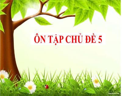 Bài giảng Khoa học tự nhiên 6 (Chân trời sáng tạo) - Ôn tập chủ đề 5: Chất (tiết 1)