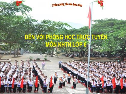 Bài giảng Khoa học tự nhiên 6 (Chân trời sáng tạo) - Ôn tập chủ đề 6: Tế bào