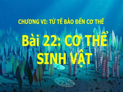 Bài giảng Khoa học tự nhiên 6 (Kết nối tri thức) - Bài 22: Cơ thể sinh vật