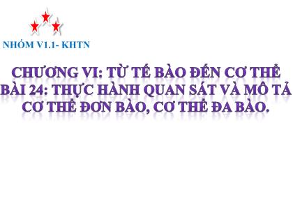 Bài giảng Khoa học tự nhiên 6 (Kết nối tri thức) - Bài 24: Thực hành quan sát và mô tả cơ thể đơn bào, cơ thể đa bào