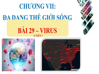 Bài giảng Khoa học tự nhiên 6 (Kết nối tri thức) - Bài 29: Virus (3 tiết)
