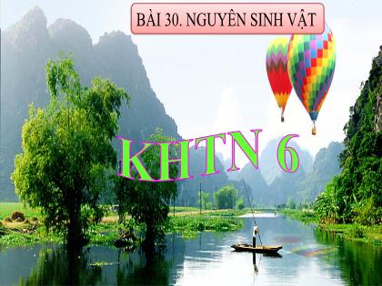 Bài giảng Khoa học tự nhiên 6 (Kết nối tri thức) - Bài 30: Nguyên sinh vật