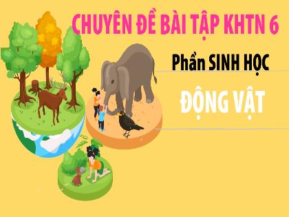 Bài giảng Khoa học tự nhiên 6 (Kết nối tri thức) - Bài 31: Động vật
