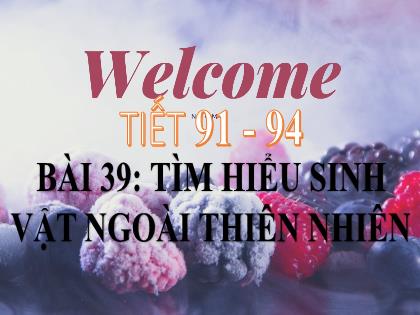 Bài giảng Khoa học tự nhiên 6 (Kết nối tri thức) - Bài 39: Tìm hiểu sinh vật ngoài thiên nhiên