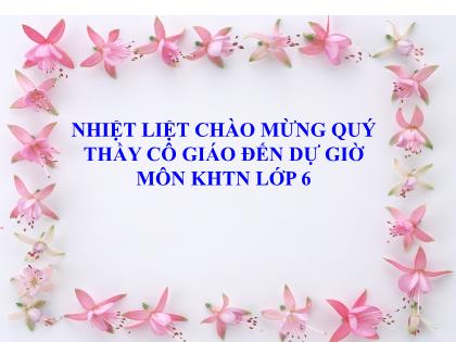 Bài giảng Khoa học tự nhiên 6 (Kết nối tri thức) - Bài 40: Lực là gì?