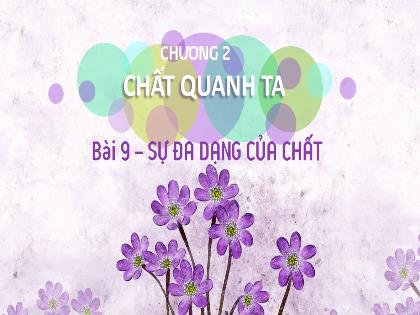 Bài giảng Khoa học tự nhiên 6 (Kết nối tri thức) - Bài 9: Sự đa dạng của chất