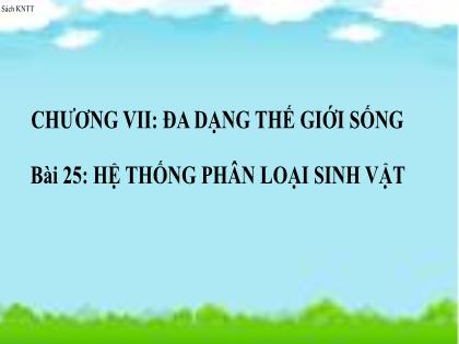 Bài giảng Khoa học tự nhiên 6 (Kết nối tri thức) - CH7, Bài 25: Hệ thống phân loại sinh vật