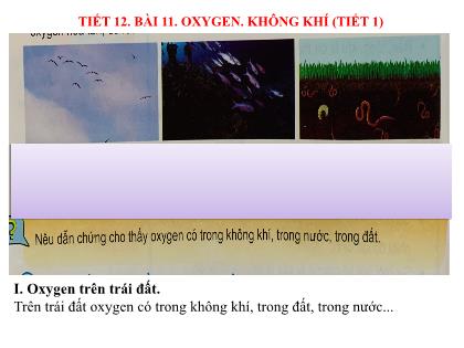 Bài giảng Khoa học tự nhiên 6 (Kết nối tri thức) - Tiết 12, Bài 11: Oxygen- Không khí (tiết 1)