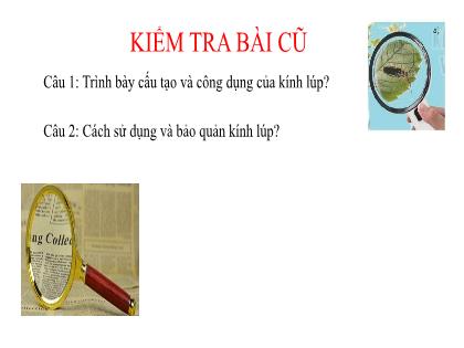 Bài giảng Khoa học tự nhiên 6 (Kết nối tri thức) - Tiết 6, Bài 4: Kính hiển vi