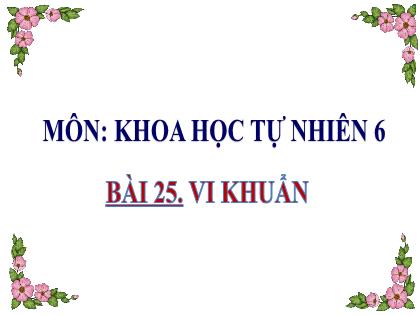 Bài giảng Khoa học tự nhiên Khối 6 (Chân trời sáng tạo) - Bài 25: Vi khuẩn