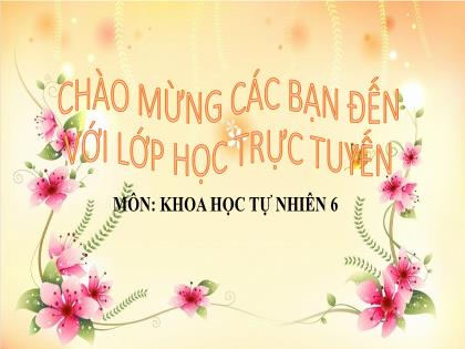 Bài giảng Khoa học tự nhiên Lớp 6 (Chân trời sáng tạo) - Bài 2: Các lĩnh vực chủ yếu của khoa học tự nhiên
