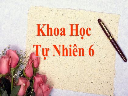 Bài giảng Khoa học tự nhiên Lớp 6 (Chân trời sáng tạo) - Bài 20: Các cấp độ tổ chức trong cơ thể đa bào