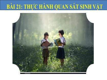 Bài giảng Khoa học tự nhiên Lớp 6 (Chân trời sáng tạo) - Bài 21: Thực hành Quan sát sinh vật