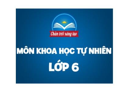 Bài giảng Khoa học tự nhiên Lớp 6 (Chân trời sáng tạo) - Bài 22: Phân loại thế giới sống