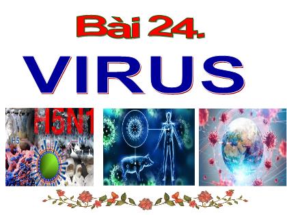 Bài giảng Khoa học tự nhiên Lớp 6 (Chân trời sáng tạo) - Bài 24: Virus