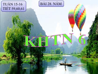 Bài giảng Khoa học tự nhiên Lớp 6 (Chân trời sáng tạo) - Bài 28: Nấm