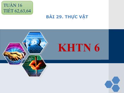 Bài giảng Khoa học tự nhiên Lớp 6 (Chân trời sáng tạo) - Bài 29: Thực vật