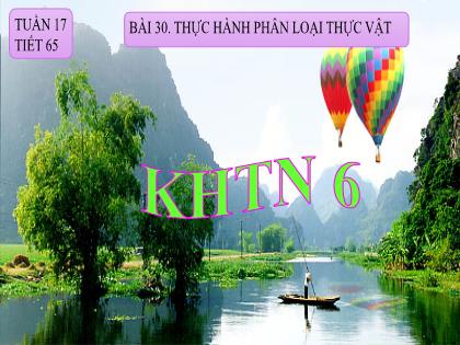 Bài giảng Khoa học tự nhiên Lớp 6 (Chân trời sáng tạo) - Bài 30: Thực hành phân loại thực vật