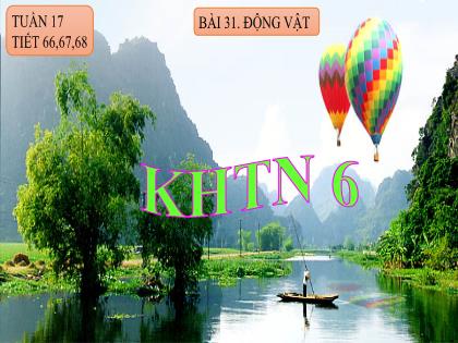Bài giảng Khoa học tự nhiên Lớp 6 (Chân trời sáng tạo) - Bài 31: Động vật