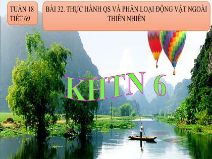 Bài giảng Khoa học tự nhiên Lớp 6 (Chân trời sáng tạo) - Bài 32: Thực hành Quan sát và phân loại thực vật ngoài thiên nhiên