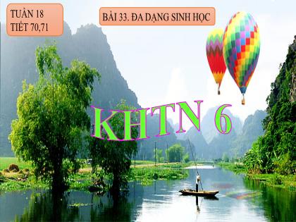 Bài giảng Khoa học tự nhiên Lớp 6 (Chân trời sáng tạo) - Bài 33: Đa dạng sinh học