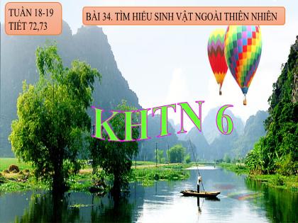 Bài giảng Khoa học tự nhiên Lớp 6 (Chân trời sáng tạo) - Bài 34: Tìm hiểu sinh vật ngoài thiên nhiên
