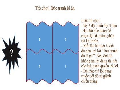 Bài giảng Khoa học tự nhiên Lớp 6 (Kết nối tri thức) - Bài 18: Tế bào - Đơn vị cơ bản của sự sống