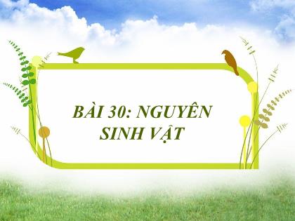 Bài giảng Khoa học tự nhiên Lớp 6 (Kết nối tri thức) - Bài 30: Nguyên sinh vật