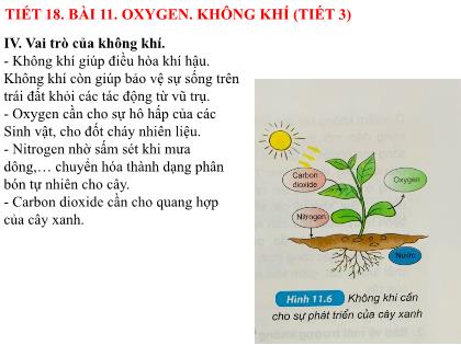 Bài giảng Khoa học tự nhiên Lớp 6 (Kết nối tri thức) - Tiết 18, Bài 11: Oxygen, không khí (tiết 3)