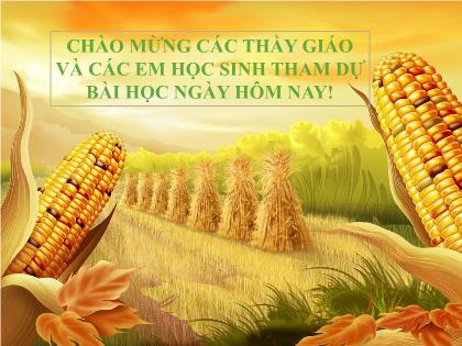 Bài giảng Toán 6 (Kết nối tri thức) - Tiết 14+15, Bài 22: Hình có tâm đối xứng